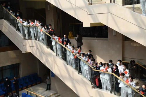 吉林英雄 吉林援鄂醫(yī)療隊凱旋攝影作品選 咨詢策劃服務(wù)