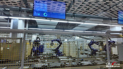 青春華章 走進(jìn)天津天開園，感受新質(zhì)潮涌中的攝影擴(kuò)印服務(wù)